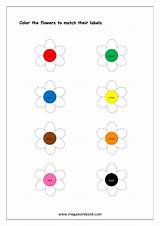 Color Recognition Colors Matching Worksheet Worksheets Objects Printable Flowers Preschool Kindergarten Activity Kids Brown Recognize Red Green Shapes Yellow Their sketch template