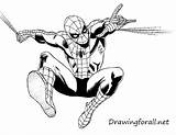 Spiderman Spider Drawing Man Draw Amazing Vector Pic Clipart Sketch Comics Pencil sketch template