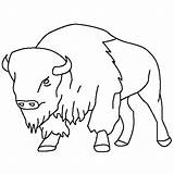 Bison Buffalo Coloring Pages Drawing Kids Animal Drawings Printable Outline Color Ny Silhouette Bills Books Clipart Book Animals Getdrawings Skyline sketch template