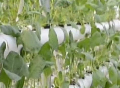 featurefarm growing plants  soil  economic times video
