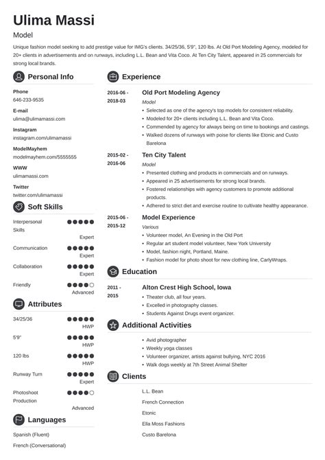 view model resume template images infortant document