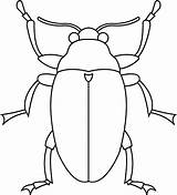 Bug Coloring Pages Insect Orkin sketch template
