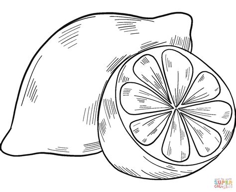 lemons coloring page  printable coloring pages