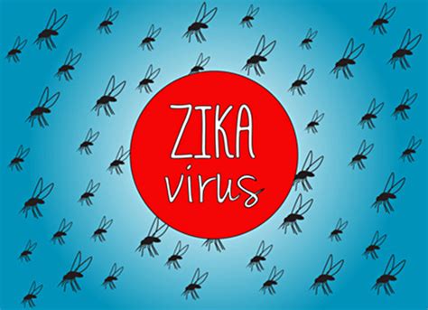 Cdc Releases New Safe Sex Guidelines For The Zika Virus
