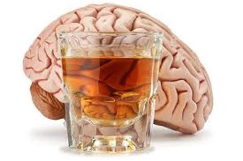 decoding alcohol related dementia understanding  effects  implications hubpages