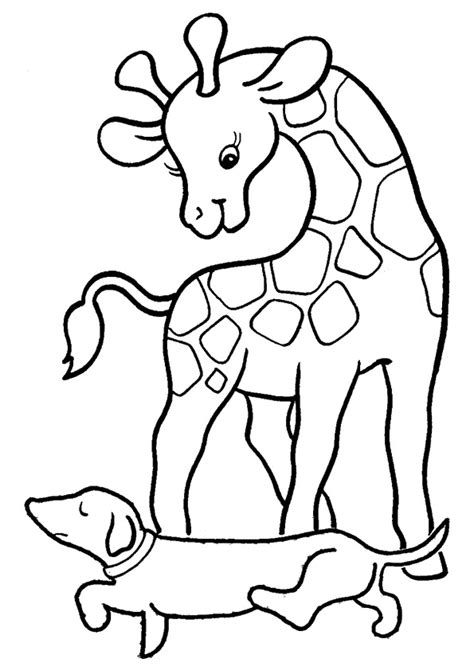giraffe coloring pages books    printable