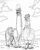 Llama Llamas sketch template