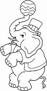 Circus Elephant Coloring Pages Getcolorings sketch template