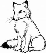 Fox Coloring Pages Printable Kids Cute Drawing Red Animal sketch template