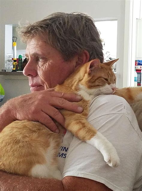 adorable   cat dads   furry friends