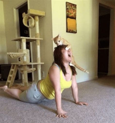 hilarious yoga fails  kitchen