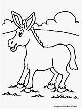 Donkey Coloring Keledai Mewarnai Esel Animais Kostenlos Ausmalbild Cachorro Ausdrucken Vaca Malvorlage Pato Anak Imprimirdesenhos sketch template