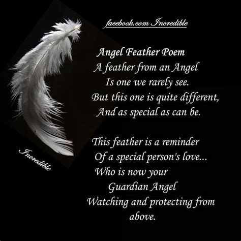 Angel Feather Poem Heaven Quotes Angel In Heaven Quotes Heaven Poems