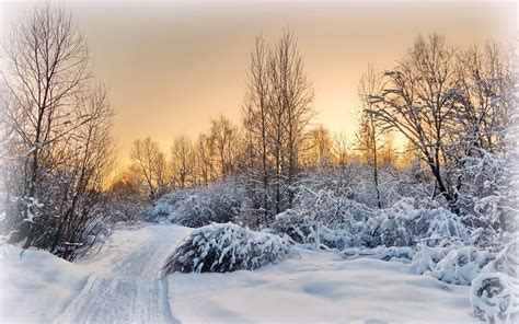 soiree arbres route coucher de soleil hiver neige fonds decran