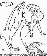 Dolphin Sirene Meerjungfrau Ausmalbilder Dauphin Printable Cool2bkids Delfin Loudlyeccentric Getdrawings sketch template