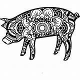 Pig Mandala sketch template