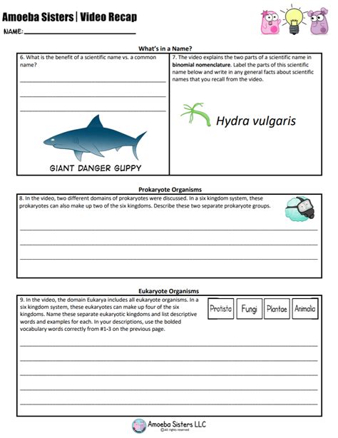 Amoeba Sisters Asexual Reproduction Worksheet Answers
