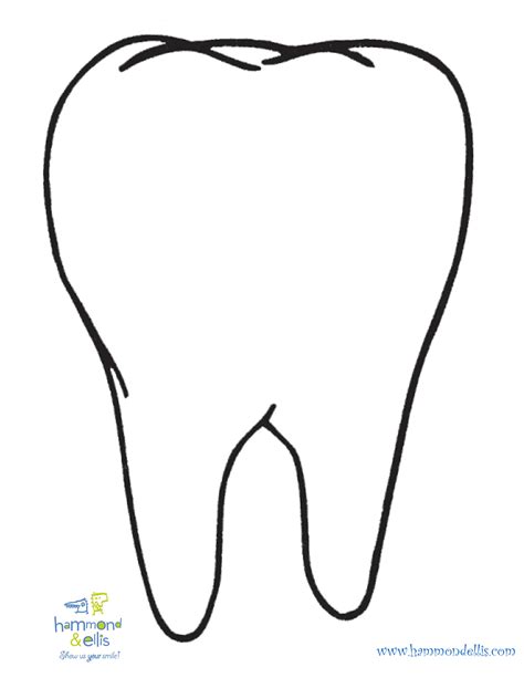 drawing   tooth    clipartmag