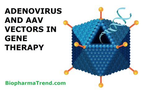 Ups And Downs Of Adenovirus And Adeno Associated Virus Vectors In Gene