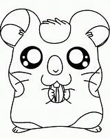 Hamster Hamsters Coloriage Animaux Colorier Coloriages sketch template