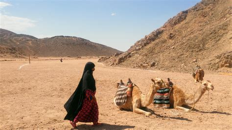 Sahara Desert 🇪🇬 Egypt Backpacking