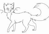 Warrior Cats Coloring Cat Outline Pages Lineart Deviantart Drawing Print Template Google Drawings Warriors Sheets Base Search Oc Bases Getdrawings sketch template