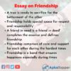 essay  friendship importance  friendship essay  students