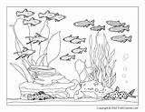 Coloring Pages Fish Aquarium Colouring Underwater Tank Ocean Whith Print Cat Fishes Printable Sea Adults Kids Animals Scenic Adult Sheets sketch template