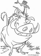 Coloring Pumbaa Timon Pages Popular Lion King sketch template