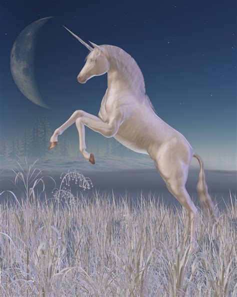 psychic sight blog  unicorn psychic sight blog