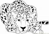 Cheetah Coloring Pages Running Printable Color Sitting Print Baby Colouring Kids Adults Drawing Coloringpages101 Cub Cheetahs Animal Easy Draw Cute sketch template