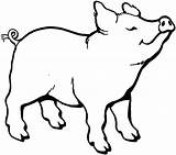 Pig Clipart Line Clip Coloring Library Cliparts sketch template