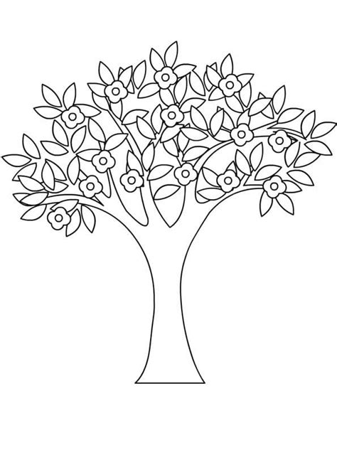 printable spring tree coloring page  printable coloring pages