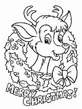 Coloring Reindeer Christmas Pages Coloringpages1001 sketch template
