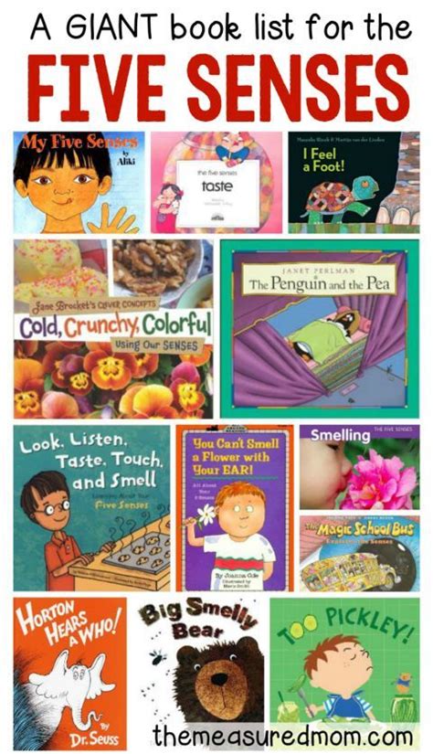books    senses senses preschool  senses preschool