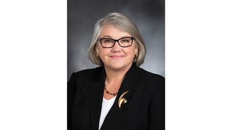 Maureen Walsh Washington State Senator Slammed For Saying Nurses Play