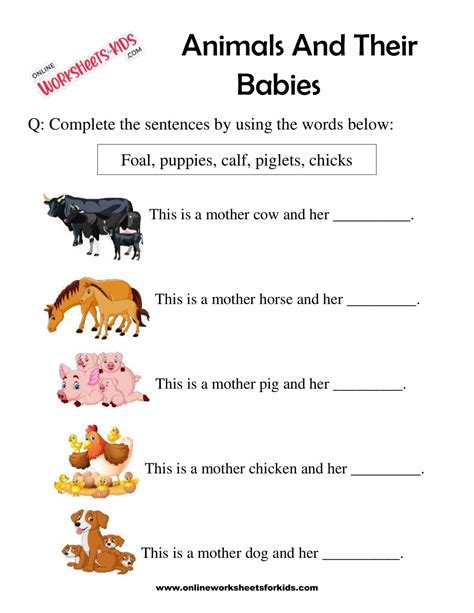 animal   babies worksheet  grade