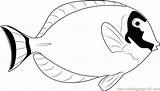 Coloring Blue Fish Pages Tang Butterfly Surgeonfish Powder Color Template Getcolorings Coloringpages101 sketch template