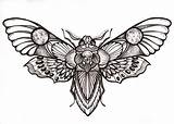 Moth Tattoo Death Drawing Head Tattoos Designs Skull Drawings Hawk Deaths Flash Butterfly Traditional Body Sketches Insect Simple Neo Tatouage sketch template