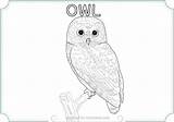 Owl Snowy Coloring Barn Color Drawing Pages Printable Getcolorings Sheet Getdrawings sketch template