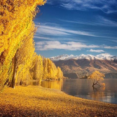 Beautiful Autumn In Lake Wanaka New Zealand 🍂💛💛🍂 Picture By