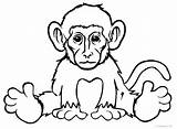 Monkey Coloring Pages Drawing Spider Printable Realistic Easy Face Kids Color Cool2bkids Baby Clipartmag Print Monke Getdrawings Getcolorings sketch template