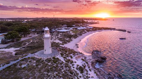 discover  perfect rottnest lazy day guide rottnest express