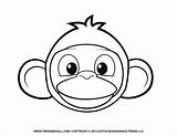 Mewarnai Faces Monyet Clipartmag Monkeys Smiley Viewing Getdrawings Timvandevall sketch template