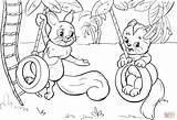 Coloring Swing Tire Swinging Pages Cat Squirrel Printable 1905 58kb 1300px sketch template