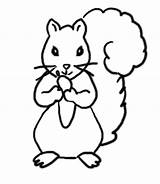 Squirrel Coloring Pages Print Kids Clipart Activities Squirrels Autumn Templates Clip Cartoon Preschool Printable Cliparts Flying Template Easy Library Simple sketch template