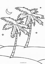 Baum Cool2bkids Kokosnuss Ausmalbilder Albanysinsanity sketch template