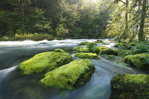 rivieres du jura sources  gorges jura tourisme