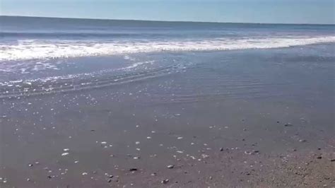 relaxing  minute video  myrtle beach ocean waves youtube