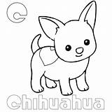 Chihuahua Chiwawa Coloringbay Chihuahuas Bestcoloringpagesforkids Coloringfolder sketch template